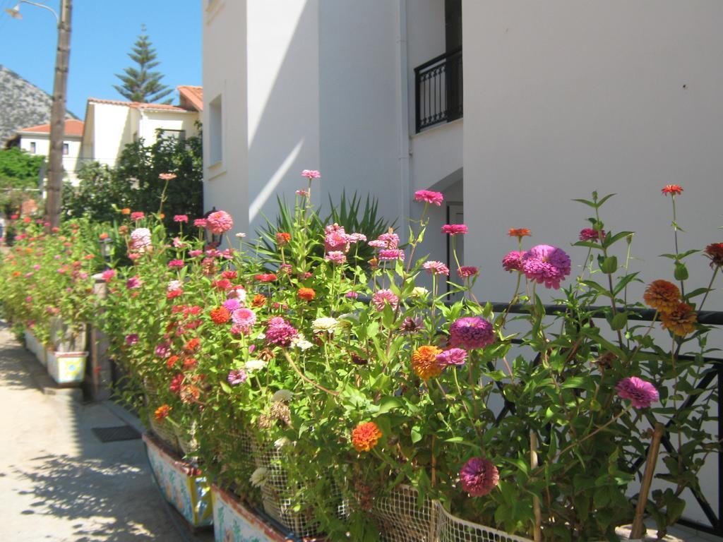 Friderica House Otel Poros  Oda fotoğraf