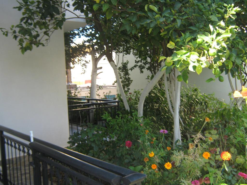 Friderica House Otel Poros  Oda fotoğraf