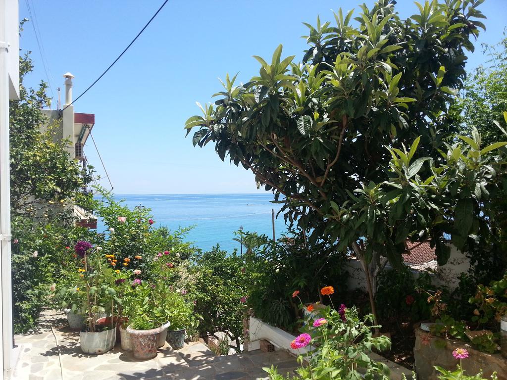 Friderica House Otel Poros  Dış mekan fotoğraf